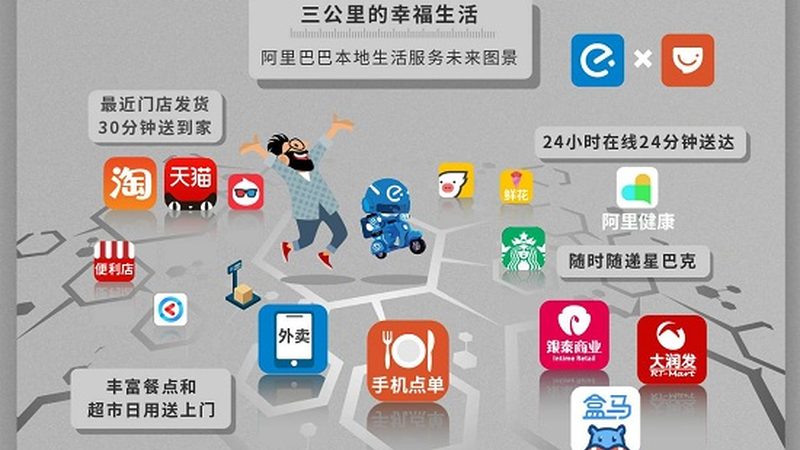搬家宠物托运全攻略：手续与注意事项